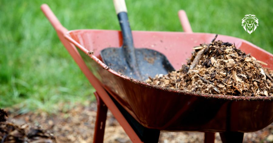 Bahçe ve Peyzaj Düzenlemesi